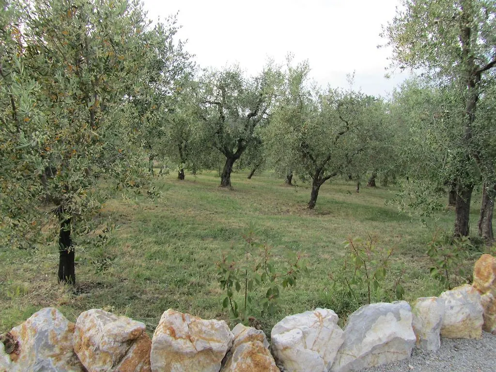 Séjour à la ferme Agriturismo Borghetto Il Montino Rapolano Terme