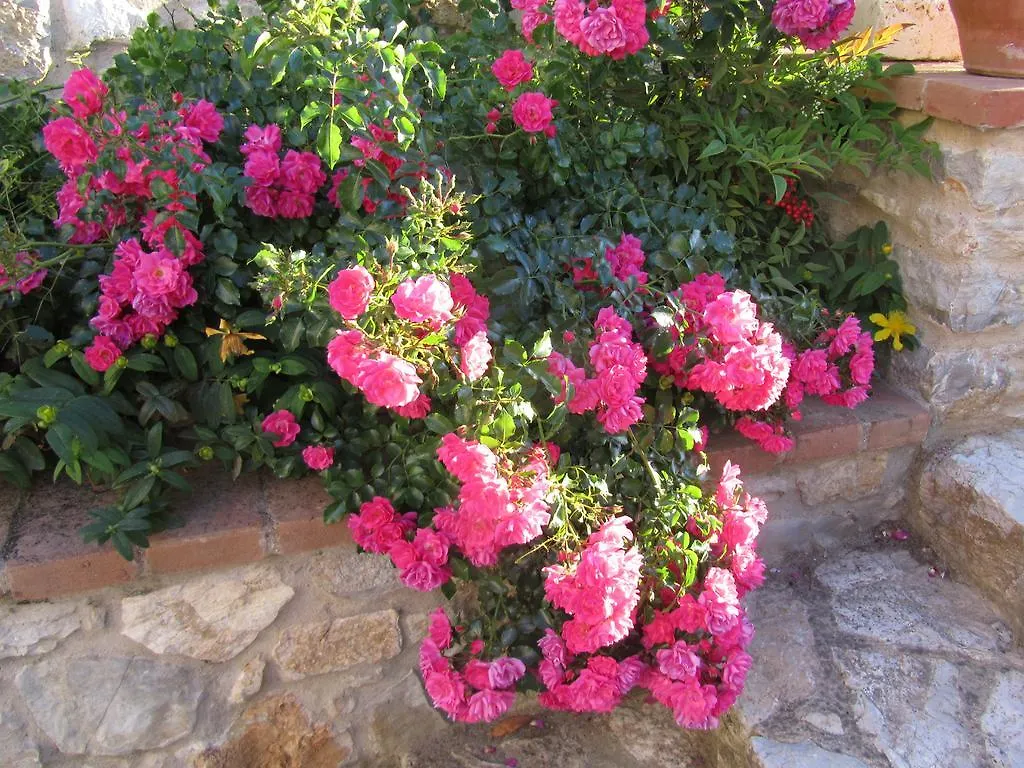 Agriturismo Borghetto Il Montino Rapolano Terme 0*,  Italie