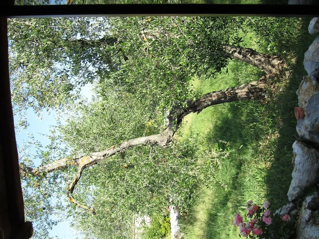Agriturismo Borghetto Il Montino Rapolano Terme