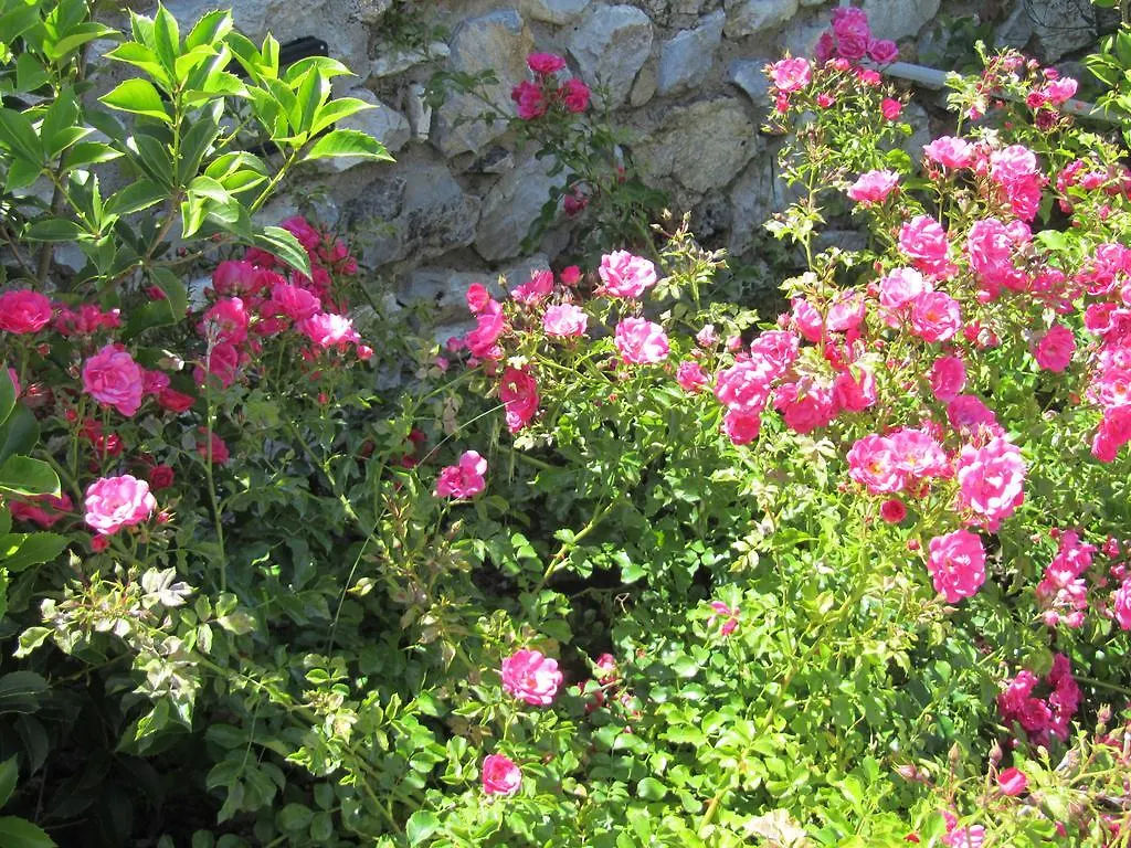 Agriturismo Borghetto Il Montino Rapolano Terme